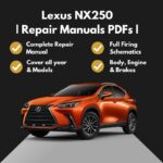 2022-2025 Lexus NX250 Repair Manuals PDFs